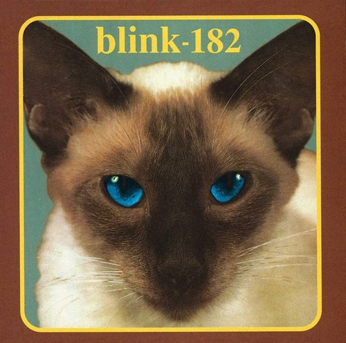 Blink 182 cheshire - blink-182, cat